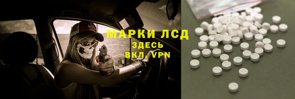 сатива Арсеньев