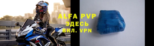 сатива Арсеньев