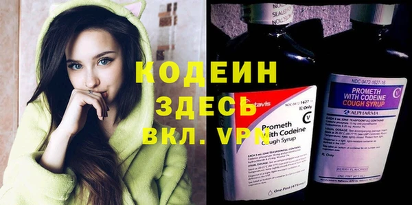 крисы Надым