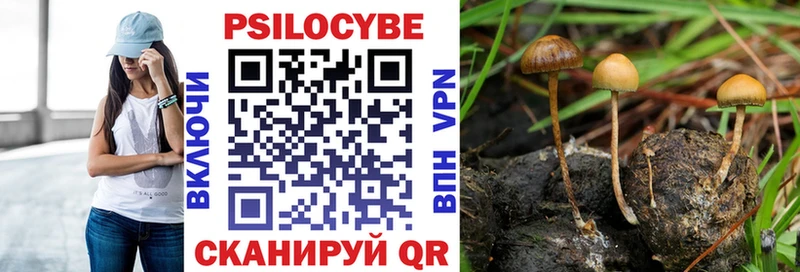Галлюциногенные грибы ЛСД  Белая Холуница 